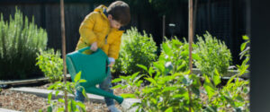 Plant some memories with your little ones this winter